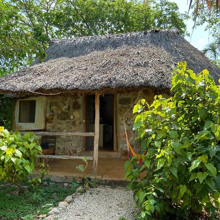 Encantadora Villa Maya Tradicional En Rancho Agroecologico Tzucaceb Exterior foto