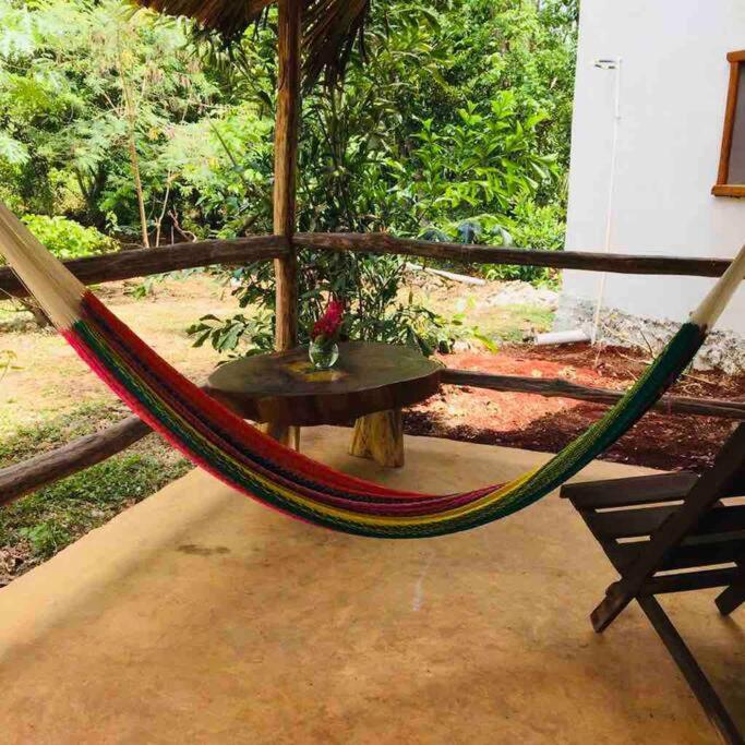 Encantadora Villa Maya Tradicional En Rancho Agroecologico Tzucaceb Exterior foto