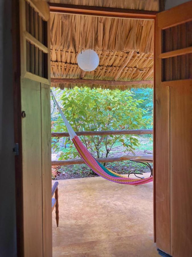 Encantadora Villa Maya Tradicional En Rancho Agroecologico Tzucaceb Exterior foto
